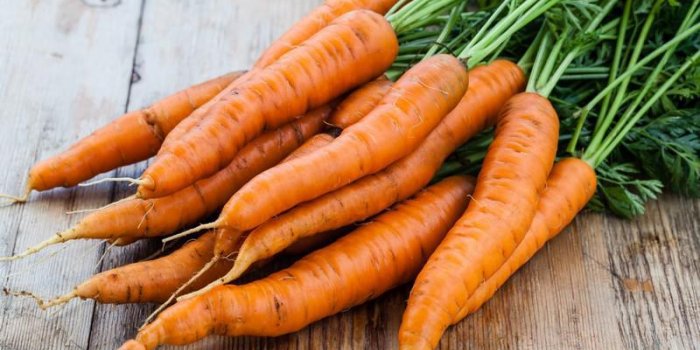 Intestin : 12 aliments riches en fibres pour lutter contre les microbes