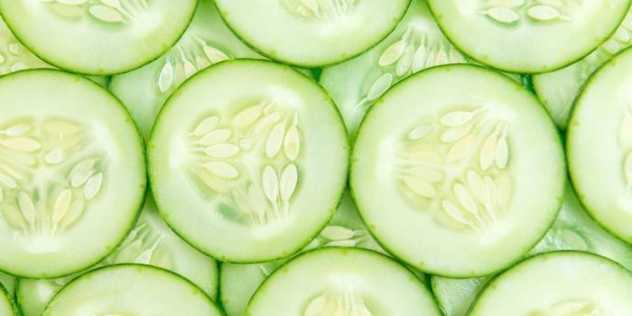 8 aliments que mange la reine Elizabeth pour vivre longtemps