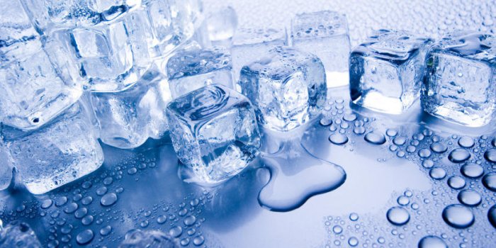  7 rÃ¨gles pour ne pas Ãªtre malade aprÃ¨s un pique-nique 