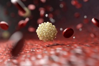 Cholesterol : associer ces 2 medicaments courants peut  sauver des milliers de vie 