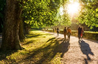 Nature : vivre a proximite d’un espace vert ralentit le vieillissement 