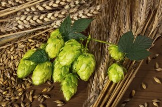 Cette plante qui peut dissoudre le mauvais cholesterol