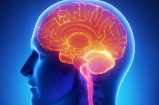 Ronfler trop fort pourrait retrecir le cerveau et augmenter le risque de mort