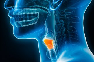 La premiere greffe de larynx realisee en France 