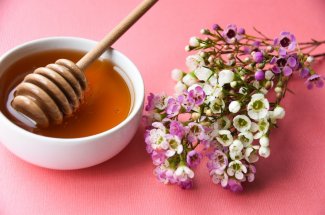 Miel de manuka : l-aliment miracle contre l-infection pulmonaire et la mucoviscidose ?