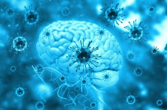 Meningite : vaccin, contagion… Ce qu’on sait sur le nouveau variant