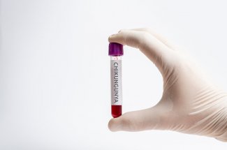 Le premier vaccin contre le chikungunya approuve aux Etats-Unis
