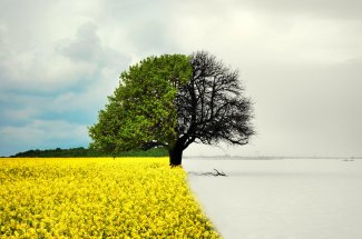Couple : pourquoi le printemps est une saison plus propice au divorce
