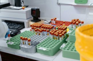 Helicobacter pylori : la bacterie silencieuse qui menace la sante de millions d’enfants