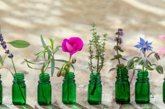 Huile essentielle : pourquoi il ne faut pas en mettre sur un coup de soleil