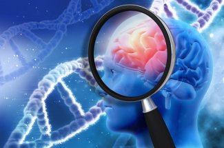 Maladie d’Alzheimer : deux nouveaux genes responsables identifies 