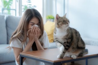 Allergie aux poils de chat : desensibilisation ou pas ? 