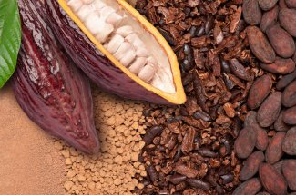 Les scientifiques creent un nouveau chocolat, moins sucre