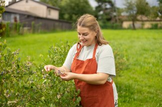 Attention a ces plantes des bois a risques d-intoxication grave 