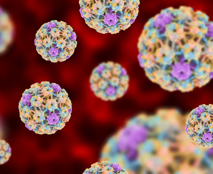 Papillomavirus femme-homme : symptomes, traitements, vaccin, transmission