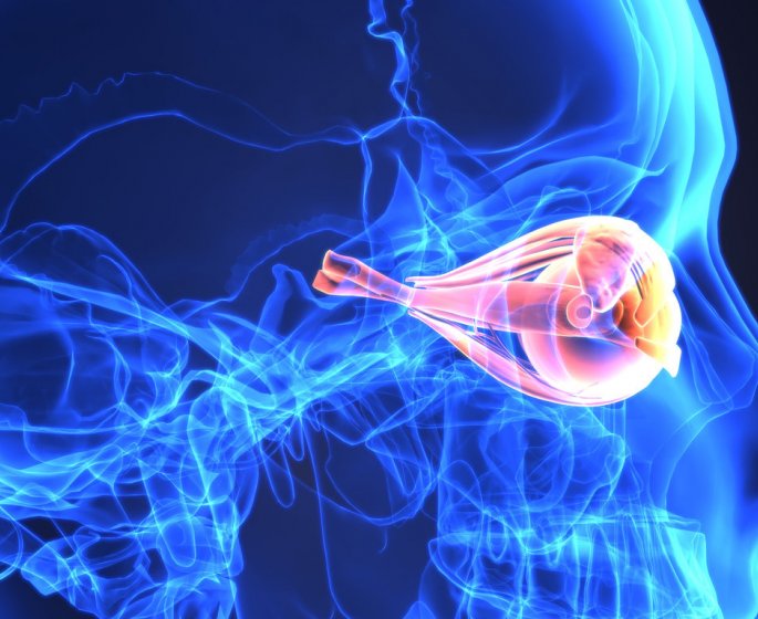 Glaucome a l’œil : definition, symptomes, traitements et operation 