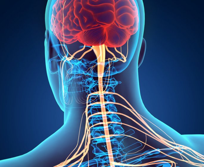 Malaise vagal : symptomes, causes, traitements et comment l-eviter ?