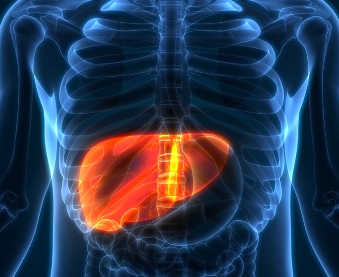  Cirrhose ou Cholangite biliaire primitive (CBP) : quels symptomes, traitements et evolution ?