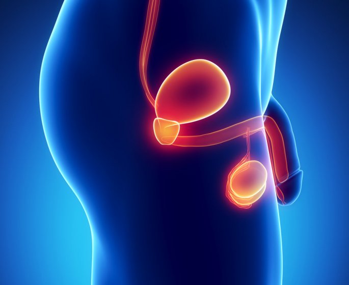 Maladie de Lapeyronie : symptomes, causes, traitements