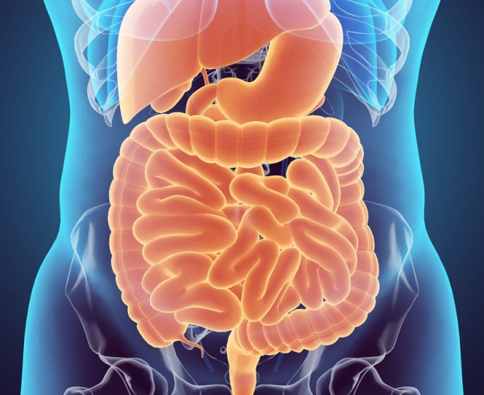 Constipation : symptomes, causes, que faire et manger si on est constipe ?