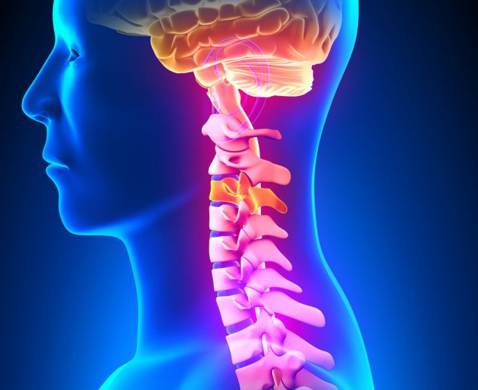 Uncodiscarthrose : definition, causes, symptomes, traitements