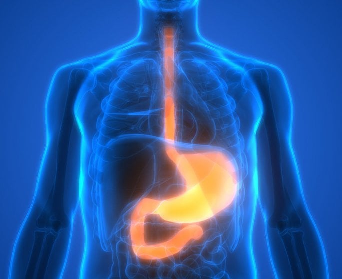 Endobrachyœsophage (EBO) : symptomes, causes, traitements de l’œsophage de Barrett