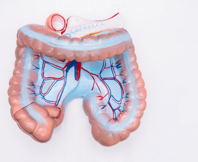 Carcinose peritoneale ou cancer du peritoine : symptomes, evolution, traitements