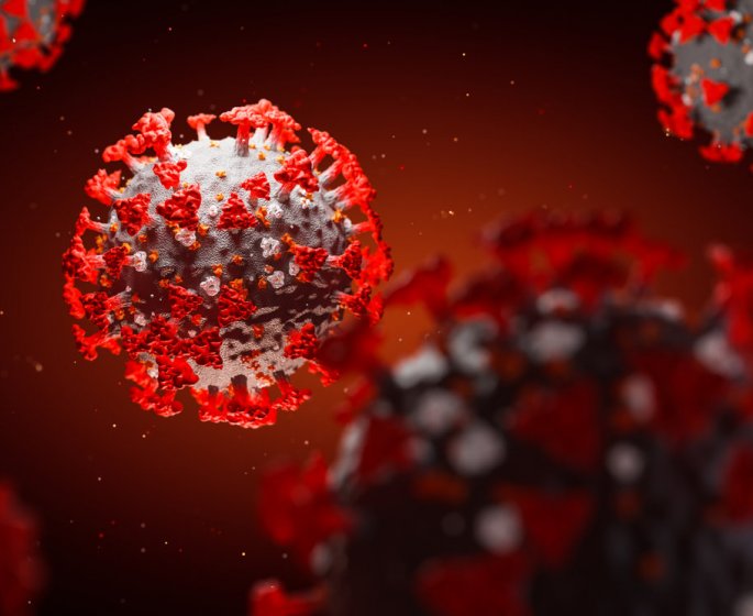 Covid-19 et immunite croisee : vous pouvez etre protege du virus sans l-avoir attrape !