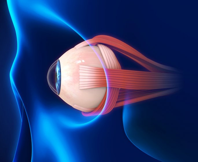 Ectropion de l-œil, col de l-uterus : symptomes, causes, traitements