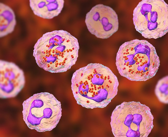 Meningite (bacterienne, virale) : definition, symptomes, contagion, vaccin