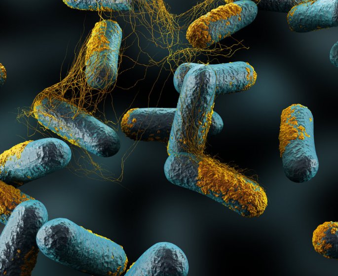 Botulisme : symptomes, traitements, diagnostic