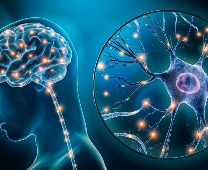 Spasmophilie : symptomes, causes, et que faire en cas de crise ?