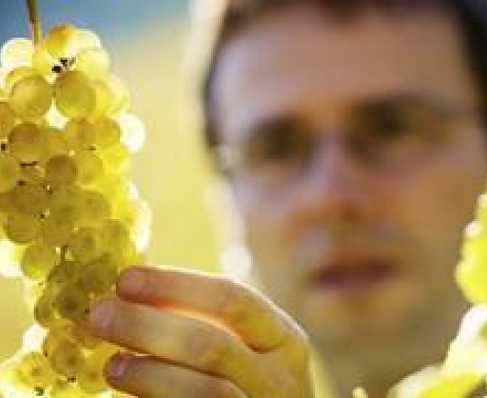 Les pesticides augmentent le risque d-Alzheimer et de Parkinson