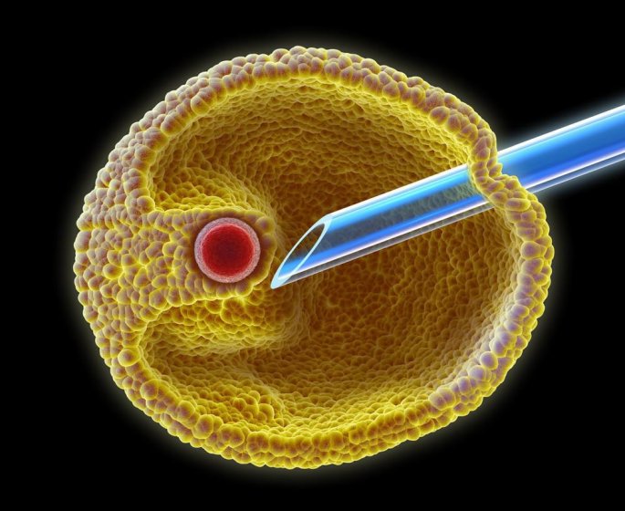Fecondation in vitro : les differentes etapes en images