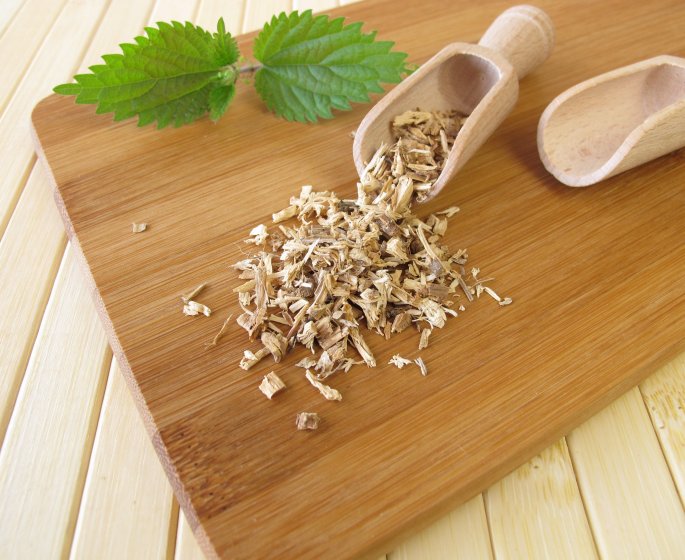 Plante pour la digestion : la racine d-ortie