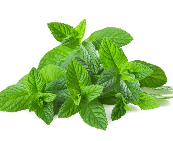 Mal de tete : testez la menthe