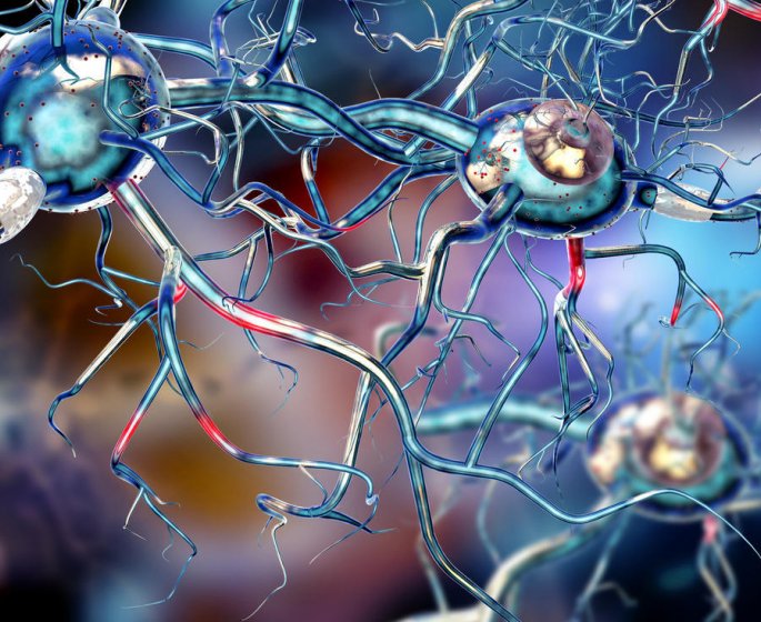Le syndrome meninge : symptomes, contagion, causes, traitements 
