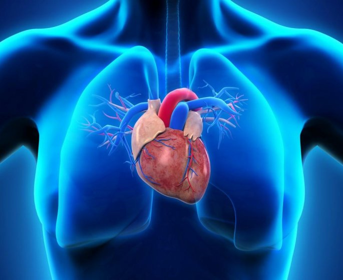 Warfarine : l-erreur a eviter qui augmente le risque d’AVC