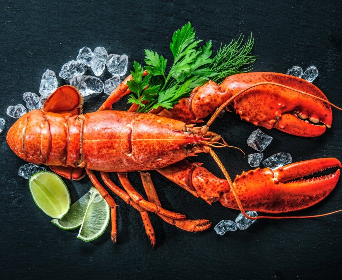 Francois de Rugy, intolerant au homard ? &quot;Ca n’existe pas !&quot;, selon un medecin