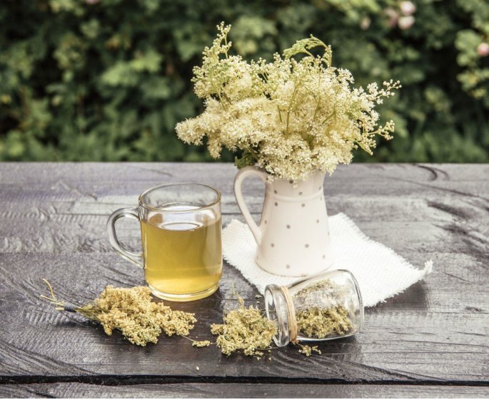 Les plantes qui font maigrir