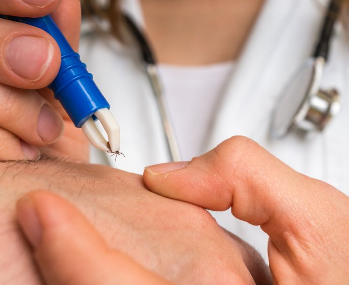 Maladie de Lyme chronique : enfin une reconnaissance ? 