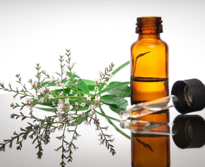 Verveine : 7 bonnes raisons d’en avoir a la maison !