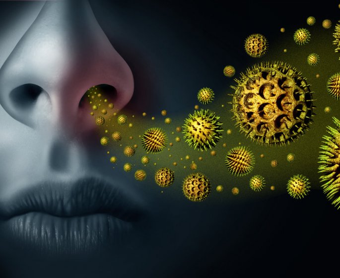 3 huiles essentielles contre le rhume des foins