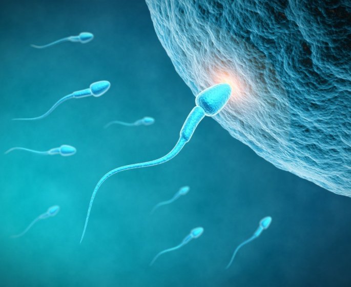 Insemination artificielle : quand peut-on la faire ?