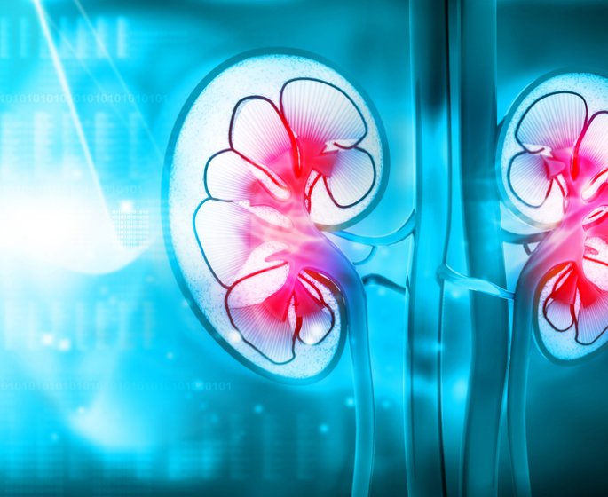 Insuffisance renale : a quoi sert la dialyse ?