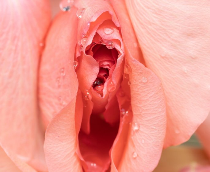 Clitoris : 3 questions pour demeler le vrai du faux 