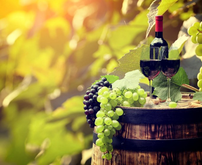 Vins sante : des vertus fantastiques !