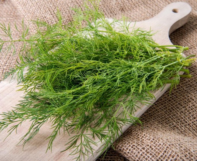 Salmonelle : Florette et Cueillette Cuisine retirent de la vente des sachets d’aneth