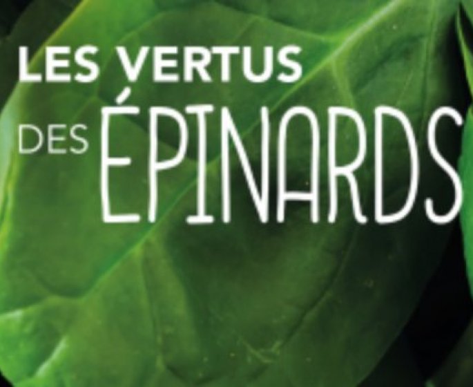 Les vraies vertus des epinards : le livre est disponible !