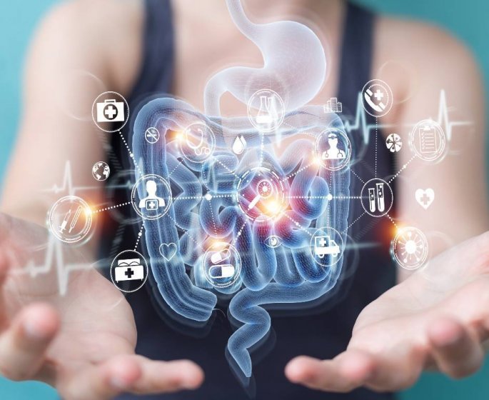 Microbiote intestinal : les risques pour la sante quand il se desequilibre